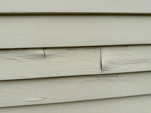 Trusted Palmyra, WI Siding Experts